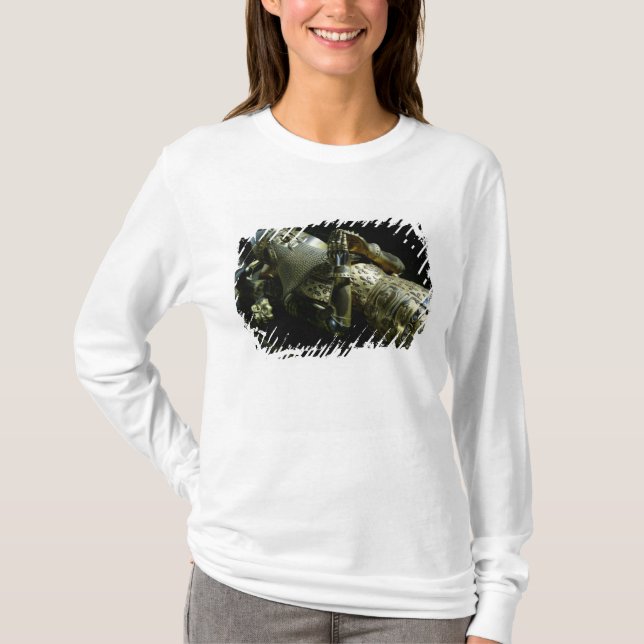 Camiseta Efigie de Edward el príncipe negro, 1376 (Anverso)