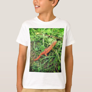Camiseta Eft de Salamandra Oriental