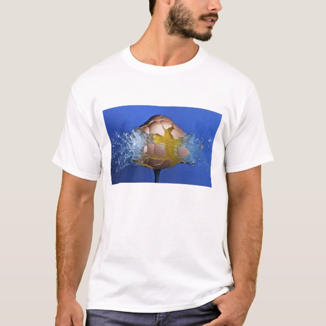 Camiseta Eggceptional (Anverso)