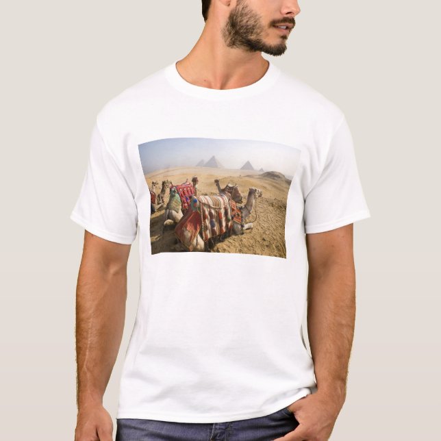 Camiseta Egipto, El Cairo. Camellos descansando (Anverso)