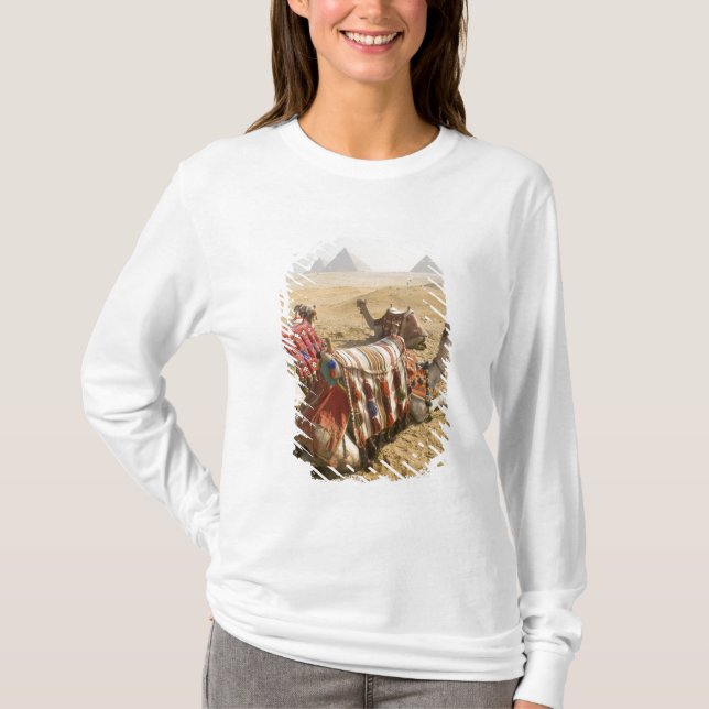 Camiseta Egipto, El Cairo. Camellos descansando (Anverso)