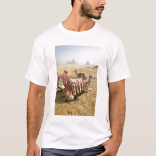 Camiseta Egipto, El Cairo. Camellos descansando