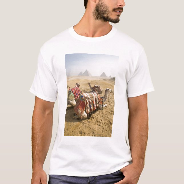 Camiseta Egipto, El Cairo. Camellos descansando (Anverso)