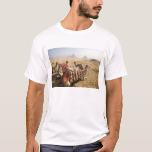 Camiseta Egipto, El Cairo. Restos de camellos