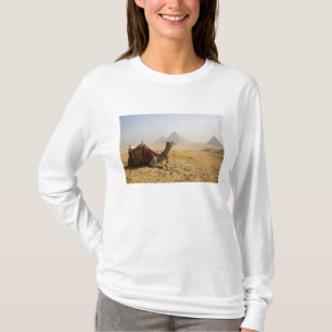 Camiseta Egipto, El Cairo. Un camello solitario