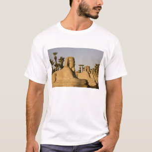 Camiseta Egipto, Luxor. La Avenida de las Esfinges conduce 