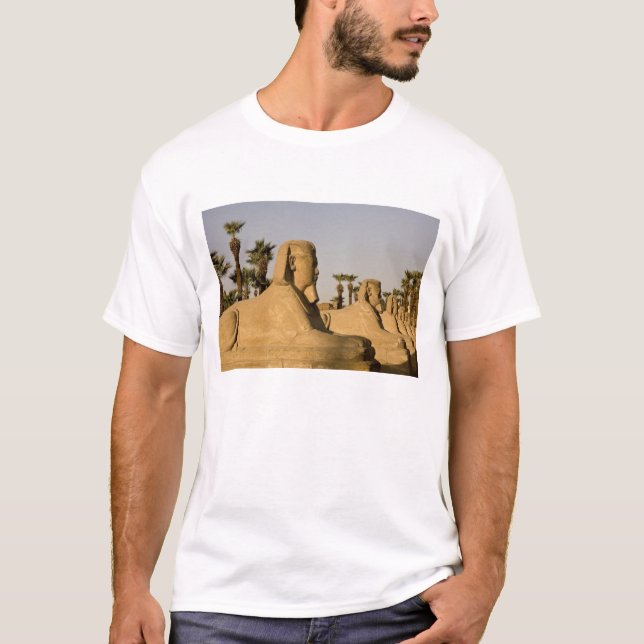 Camiseta Egipto, Luxor. La Avenida de las Esfinges conduce  (Anverso)