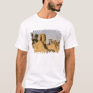 Camiseta Egipto, Luxor. La Avenida de las Esfinges conduce 