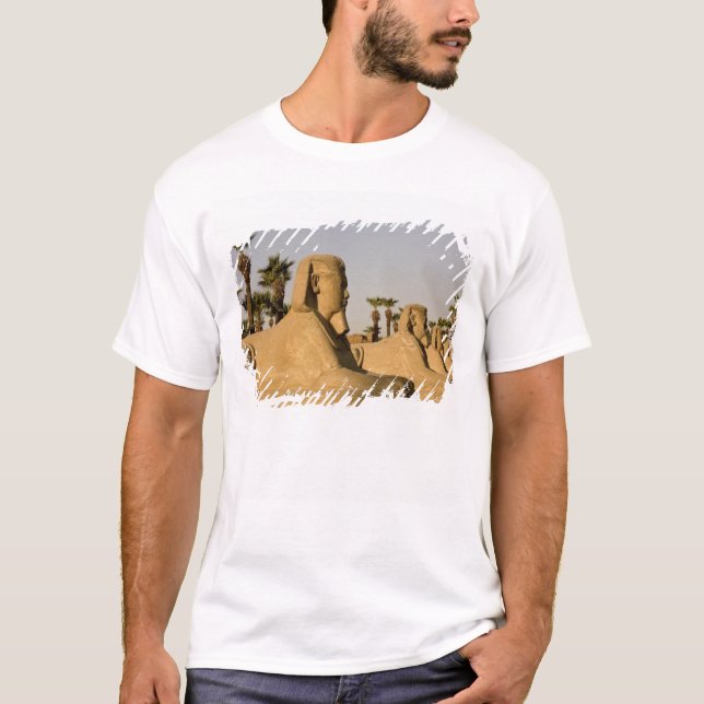 Camiseta Egipto, Luxor. La avenida de las esfinges lleva a (Anverso)