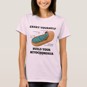 Camiseta Ejérzase estructura sus mitocondrias