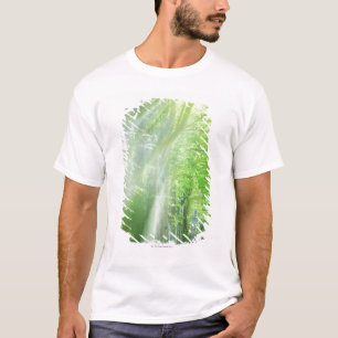 Camiseta Ejes de la luz del sol