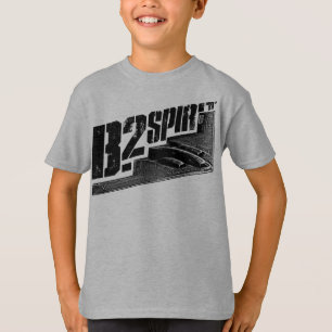 Camiseta El alcohol B-2 embromó el 速 básico de Hanes