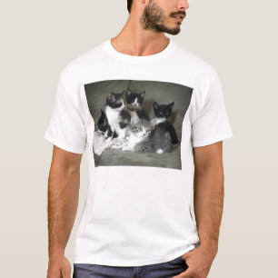 Camiseta El amor del gatito mide el tiempo de 5