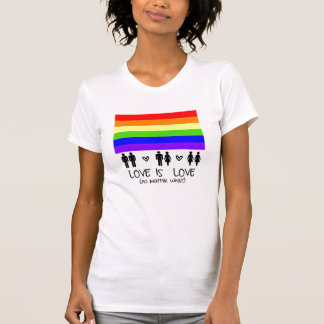 Camiseta El amor es amor
