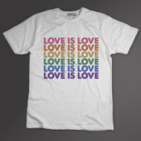 El Amor Es Amor Orgullo Gay LGBT Aliado Arcoíris L