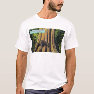 Camiseta El árbol registrado más grande en el árbol A.C.