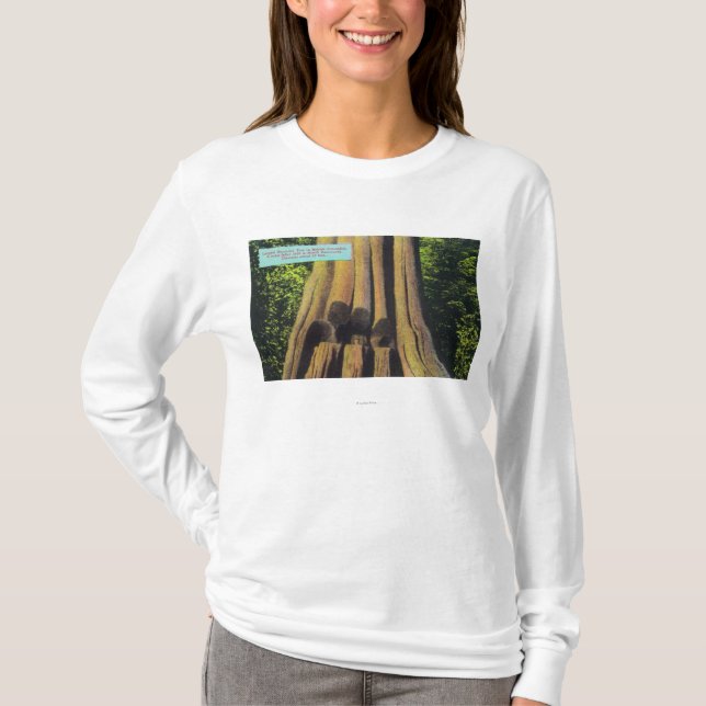 Camiseta El árbol registrado más grande en el árbol A.C. (Anverso)