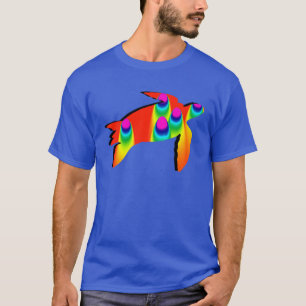 CAMISETA EL ARCO IRIS DE LA TORTUGA