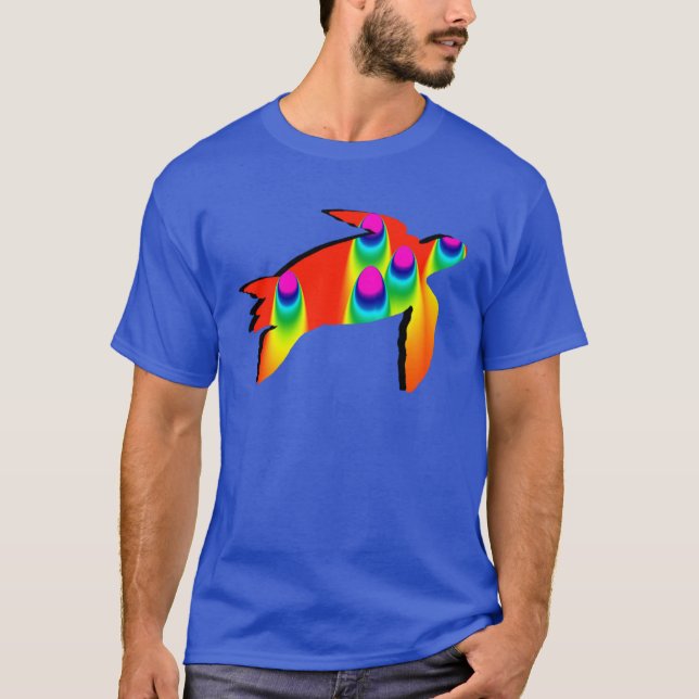 CAMISETA EL ARCO IRIS DE LA TORTUGA (Anverso)