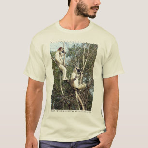 Camiseta El asolear de los lemurs de Sifaka