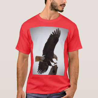 Camiseta El aterrizaje