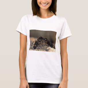 Camiseta el besarse de las hormigas