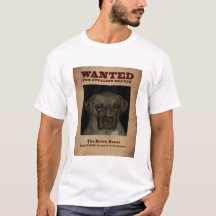 El boxeador valiente