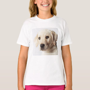 Camiseta El cierre de la cachorro de Labrador dorado