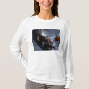 Camiseta El concepto del artista del encuentro del impacto