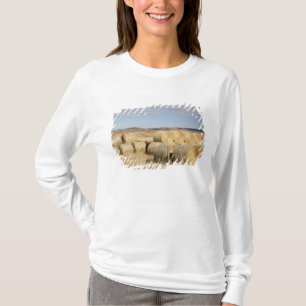 Camiseta El condado de Crook, balas de heno 2