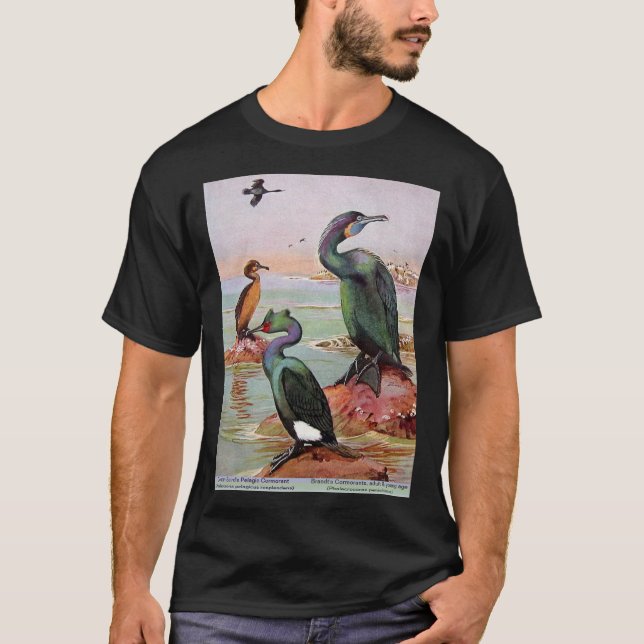 Camiseta El cormorán pelágico de Brandt y Baird (Anverso)