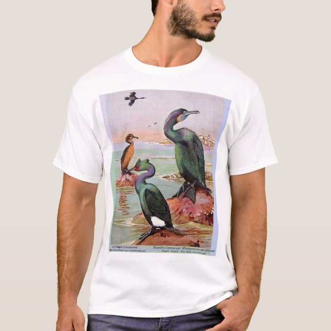 Camiseta El cormorán pelágico de Brandt y Baird (Anverso)