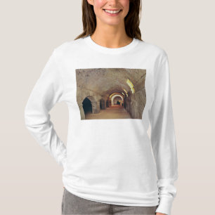 Camiseta El crypto-porticus