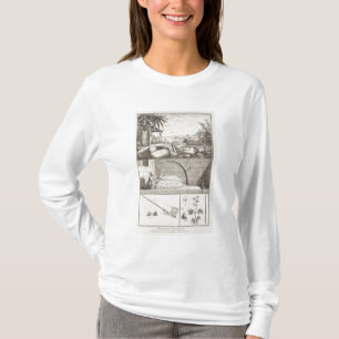 Camiseta El cultivo del algodón, del 'Encyclopedia