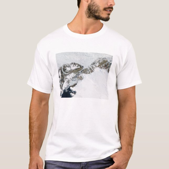Camiseta El deshielo del verano (Anverso)