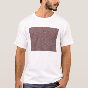 Camiseta El desierto argelino
