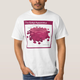 Camiseta El diagrama del complejo de Golgi del aparato de