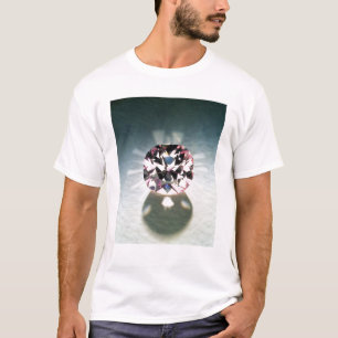 Camiseta El diamante de Agra