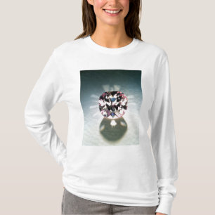 Camiseta El diamante de Agra