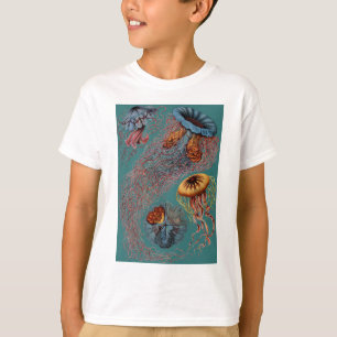 Camiseta El disco Medusae de Ernst Haeckel