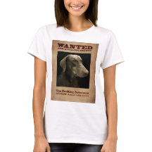 El Doberman de estrellazo