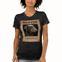 El Doberman de estrellazo