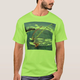 Camiseta el doble echó a un lado windsurf