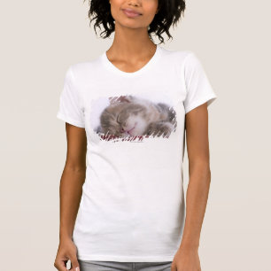 Camiseta El dormir del gatito