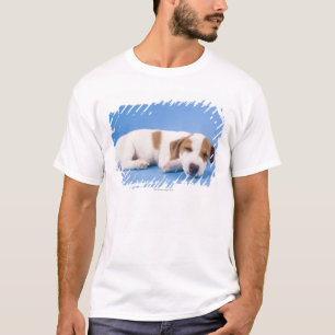 Camiseta El dormir del perro