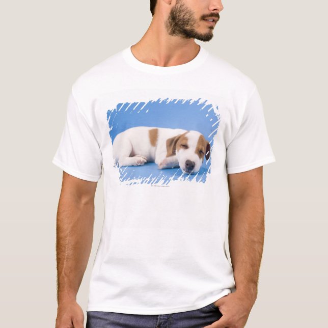 Camiseta El dormir del perro (Anverso)