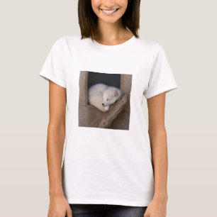 Camiseta El dormir lindo del Fox ártico