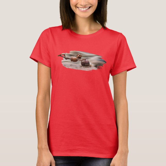 Camiseta El elfo de Acorn volando sobre el caracol (Anverso)