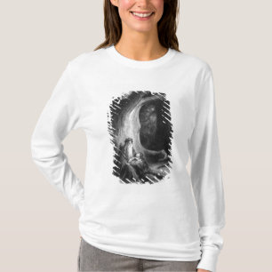 Camiseta El Enchanter MERLIN y Vivien de hadas