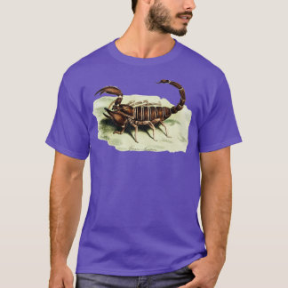Camiseta El escorpión africano